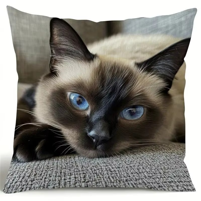 Cats On Social Media Single -Sided Polyester Pillow A Charming Addition to Your Home Decor (Copy)