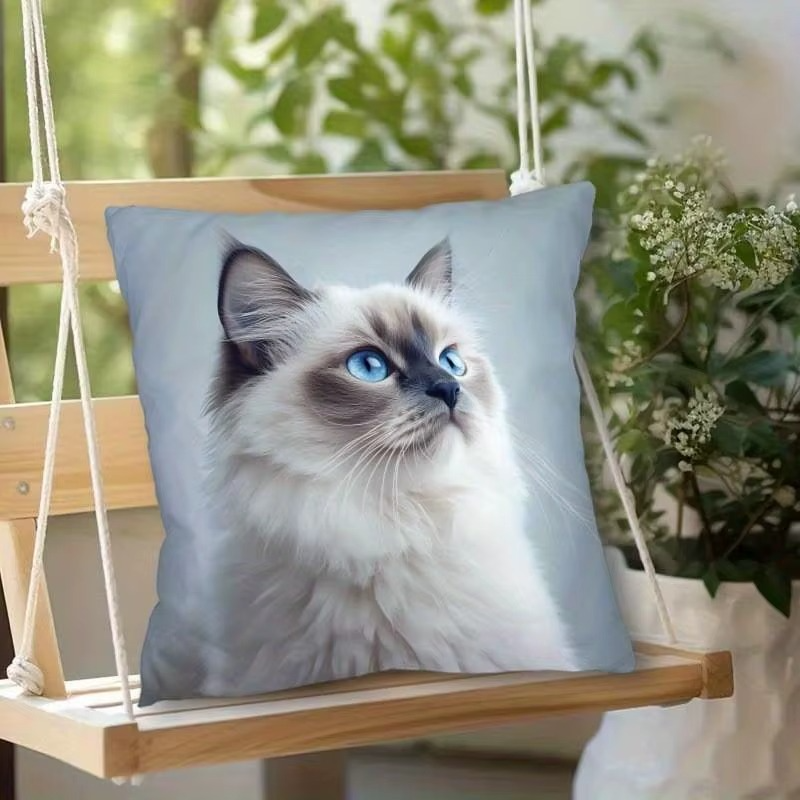 Cats On Social Media Single -Sided Polyester Pillow A Charming Addition to Your Home Decor (Copy)