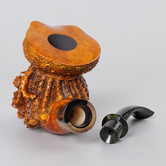 collectionstore.org