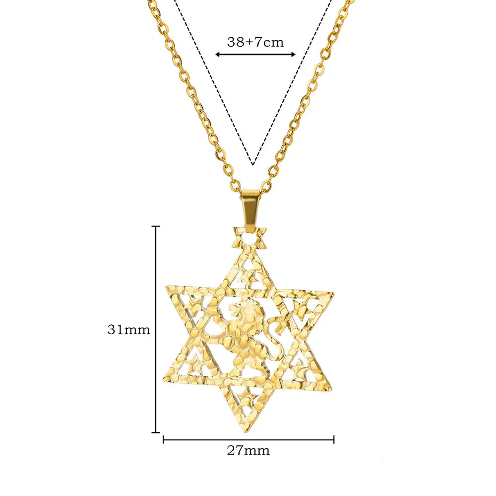 ALDO Jewelry Gold Plated Lion Star of David Amulet  Pendant Necklace  for Men and Women